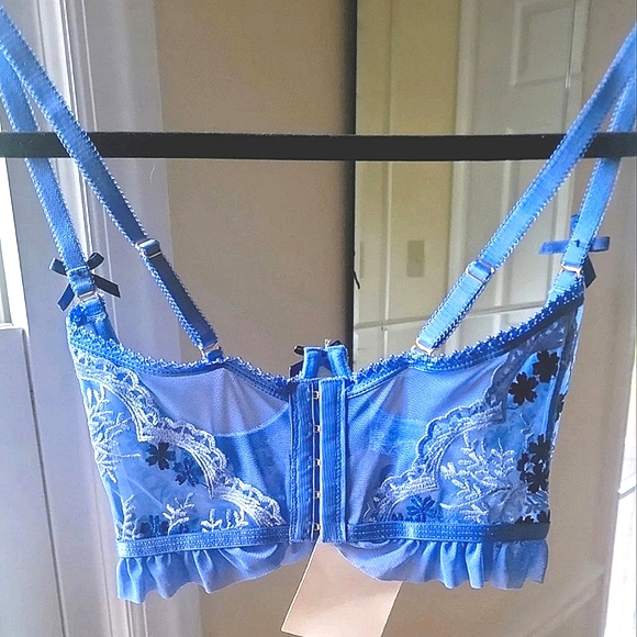 Dolls Kill NWT Small Underbust Corset Top Mesh Floral Embroidered Small - Picture 3 of 4